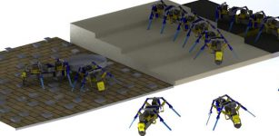 Researchers Successfully Build Four-Legged Swarm Robots