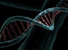 Program To Read Any Genome Sequence And Decipher Its Genetic Code Is Being Developed