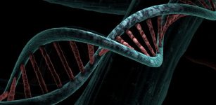 Program To Read Any Genome Sequence And Decipher Its Genetic Code Is Being Developed