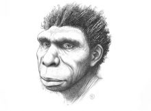 Homo Bodoensis Is A New Species Of Human Ancestors Who Lived Half A Million Years Ago