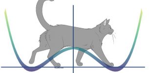 Schrödinger's cat illustrates the paradox of superposition. In this scenario, a cat was placed in a closed box with a flask of poison. After a while, the cat could be considered simultaneously alive and dead. In analogy to quantum mechanics, this refers to a quantum particle simultaneously being in the two wells. If someone were to open the box fully, they would find out whether the cat is either alive or dead, so the rules of the ordinary, classical world would resume. However, if one were to open the box just a little, they might see just a small part of the cat, perhaps the tail, and if they were to see the tail twitch, they might assume, without certainty, that the cat was still alive. This refers to the weak measurements that the machine was giving the researchers as data points. Credit: Okinawa Institute of Science and Technology