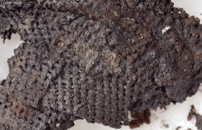 Discovery Of Stone Age Textiles Sheds New Light On The History Of ...