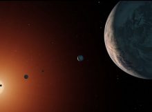 Orbital Harmony Limits Late Arrival Of Water On TRAPPIST-1 Planets