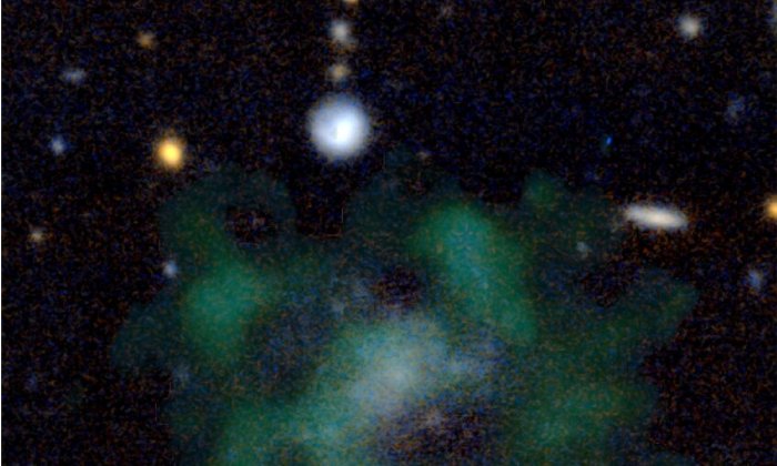 The galaxy AGC 114905. The stellar emission of the galaxy is shown in blue. The green clouds show the neutral hydrogen gas. The galaxy does not appear to contain any dark matter, even after 40 hours of detailed measurements with state-of-the-art telescopes. Credit: (c) Javier Román & Pavel Mancera Piña