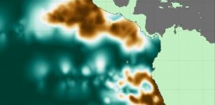 Scientists Build New Atlas Of Ocean's Oxygen-Starved Waters
