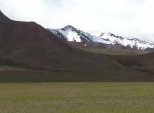 Denisovans Or Homo Sapiens: Who Were The First To Settle Permanently On The Tibetan Plateau?