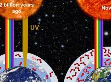 Study Reveals More Hostile Conditions On Earth As Life Evolved 