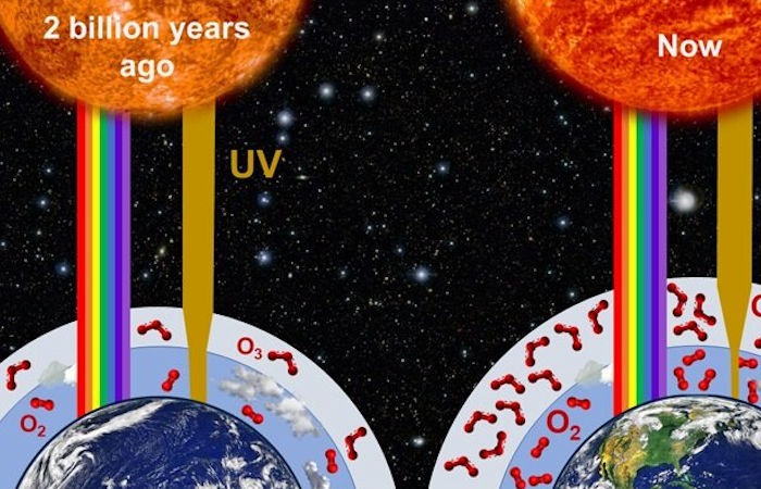 Study Reveals More Hostile Conditions On Earth As Life Evolved 