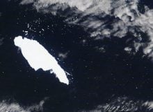 Satellites Show 'Mega-Iceberg' Released 152 Billion Tons Of Fresh Water Into Ocean As It Scraped Past South Georgia