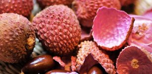 Lychee Genome Tells A Colorful Story About A Colorful Tropical Fruit