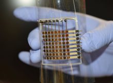 Researchers Develop First Fully 3D-Printed, Flexible OLED Display