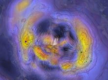 Slice of local universe showing orbits that galaxies have followed in white and contours of regions of high density in shades of yellow-orange. Milky Way (near center) Great Attractor core of Laniakea Supercluster (left) Perseus-Pisces (right). Credit: University of Hawaiʻi