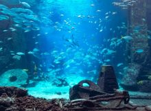 Riddle Of Brazilian Atlantis - Strange Discovered Rocks The World Forgot About