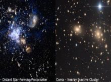 In the early universe, all previously discovered distant protoclusters like—for example—“The Spiderweb” (left: artist’s impression) are full of vigorously star-forming galaxies. In contrast, the newly-discovered protocluster “MAGAZ3NE J095924+022537” contains a high fraction of red and dead galaxies like the nearby “Coma” cluster (right). The discovery of an ancient cluster containing galaxies which resemble those found in modern clusters was a huge surprise. Credit: Spiderweb: M. Kornmesser/ESO; Coma: Russ Carroll, Robert Gendler, & Bob Franke/Dan Zowada Memorial Observatory.