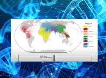 Largest Ever Human Family Tree: 27 Million Ancestors Mapped