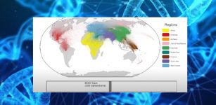 Largest Ever Human Family Tree: 27 Million Ancestors Mapped