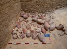 Largest Ancient Embalming Cachette Ever Found Unearthed At Abusir, Egypt