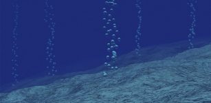 Methane gas bubbles rising from the ocean floor. Credit: Justin Kim