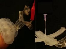 A stretchable thermometer for soft robots