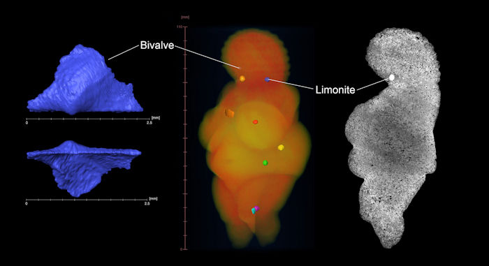 Mystery Of The 30,000-Year-Old Venus Of Willendorf Solved?