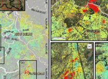 Hidden Land Sinking In India's Capital Revealed By Satellite Data