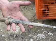 Medieval Bollock Dagger - Also Known As Kidney Dagger Discovered In Belgium