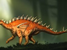 Bashanosaurus primitivus - the newest and oldest species of stegosaur in Asia. Credit: Banana Art Studio