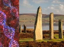 Ancient DNA Study Reveals Surprise About Britain's Bronze Age - What Happened On The Orkney Islands?