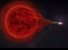 Artwork of the binary star system RS Ophiuchi: Matter flows from the red giant onto the white dwarf. The newly added stellar envelopes explode in a bright nova about every 15 years. Credit: superbossa/Max Planck Institute for Physics