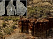 Olduvai Gorge: Direct Cosmogenic Nuclide Dating Of Olduvai Lithic Industry