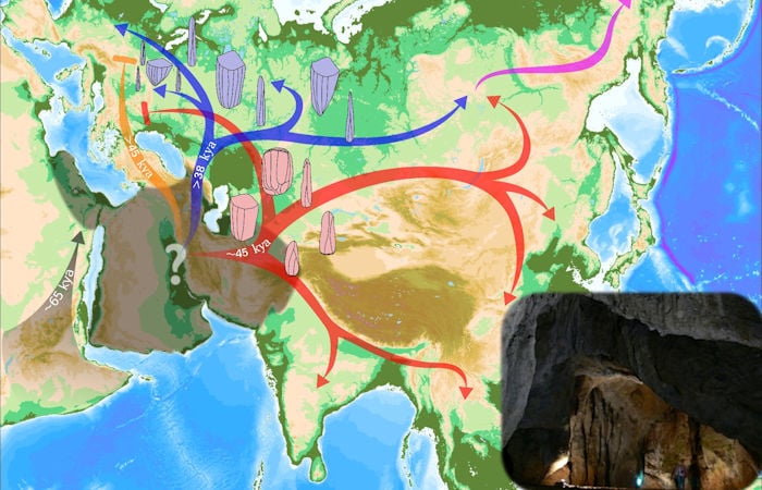 Mystery Of The East Asian Lineages In Europe 45,000 Years Ago Solved - Population Hub Out Of Africa Holds The Clues