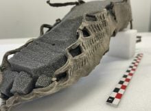 Startling Roman-Looking Sandal Discovered Buried Deep Beneath The Snow In Norwegian Mountains