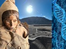 Has A New Study Of 5,000-Year-Old DNA Solved The Mystery Of The Tarim Basin Mummies?