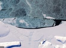 Young (blue) and landfast (smooth white) sea ice offshore of New Bedford Inlet, eastern Antarctic Peninsula, as imaged by the Operational Land Imager instrument onboard the USGS/NASA Landsat 8 satellite on 5th March 2017. Credit: Frazer Christie