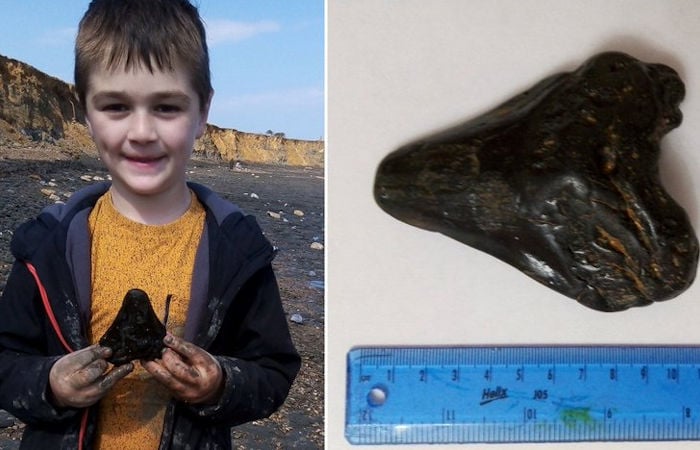 Schoolboy Finds A Huge 3,000,000-Year-Old Megalodon Shark Tooth On British Beach