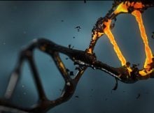 Quantum Mechanics Could Explain Why DNA Can Spontaneously Mutate