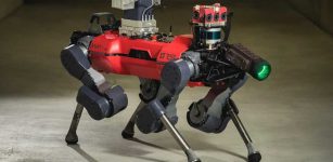 Robot Dog May Get To Go To The Moon