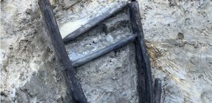 Incredibly Well-Preserved 1,000-Year-Old Wooden Ladder Discovered In The UK