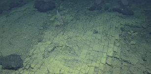 Strange Ancient Underwater Yellow Brick Road Discovered Of The Hawaiian Islands