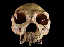 600,000-Year-Old Finds Reveal Canterbury Was Home To Britain's Earliest Humans