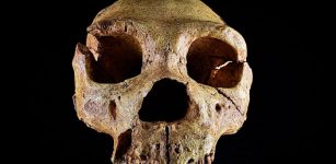 600,000-Year-Old Finds Reveal Canterbury Was Home To Britain's Earliest Humans