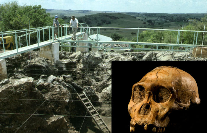 Fossils In The 'Cradle Of Humankind' May Be More Than A Million Years Older Than Previously Thought