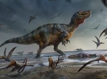 Europe's Largest Predatory Dinosaur Unearthed On The Isle Of Wight