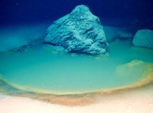 Rare Deep-Sea Brine Pools Discovered In Red Sea