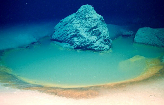 Rare Deep-Sea Brine Pools Discovered In Red Sea