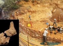 'Face Of First European' - Oldest Fossil Of European Human Ancestor Found At Spain's Atapuerca Archaeological Site