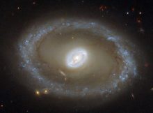 The ring galaxy NGC 3081, imaged by the Hubble Space Telescope. Credit: ESA/Hubble & NASA