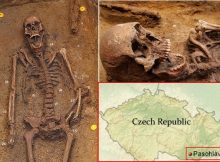 Young Warrior's Grave Dated To A Sixth Century Unearthed At Langobard Necropolis In Czech Republic