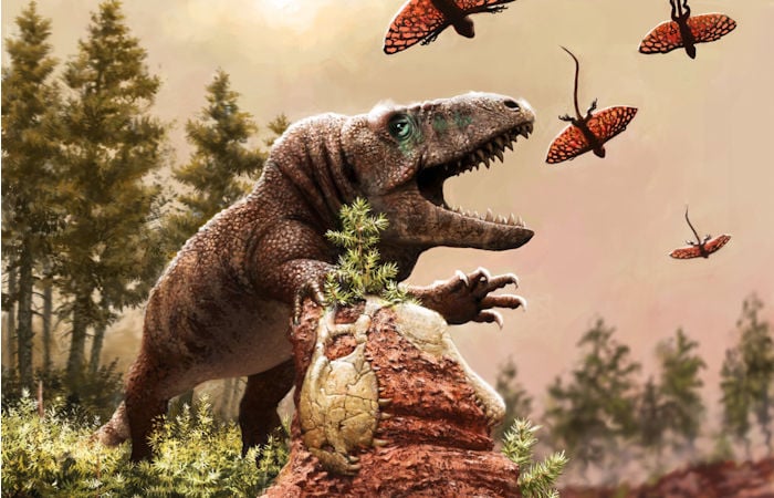 60 Million Years Of Climate Change Drove The Evolution And Diversity Of Reptiles