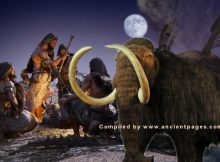 New Mexico Mammoths Offer Evidence Of Early Humans In North America Much Earlier Than Previously Thought